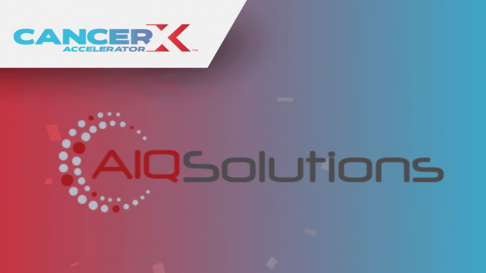 AIQ Solutions