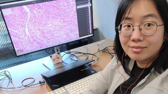 Researcher