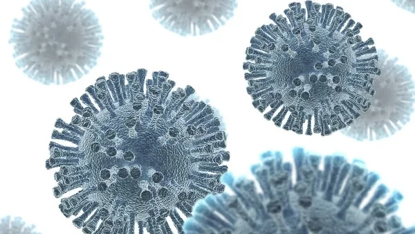 Epstein-Barr Virus