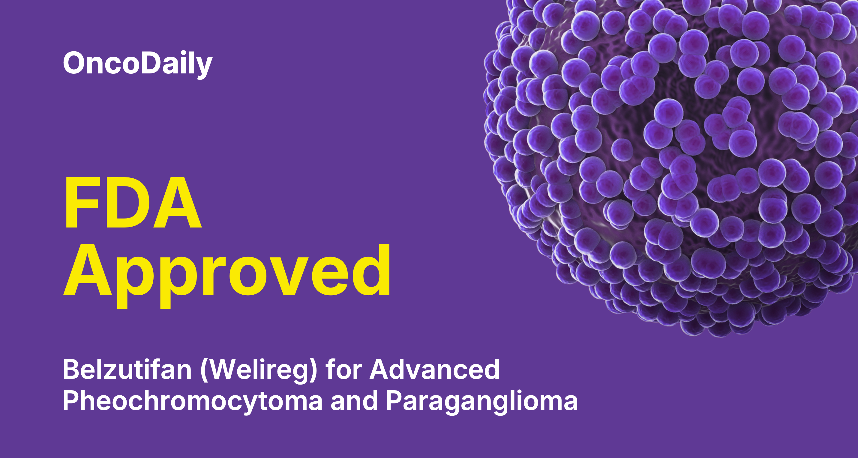 FDA approved belzutifan parangangioma