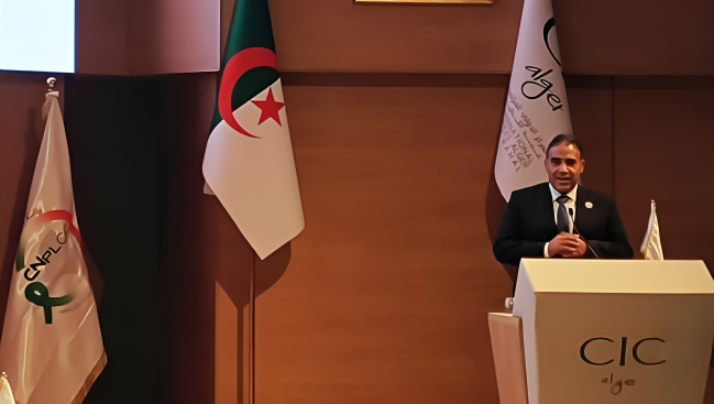 Hesham ElGhazaly