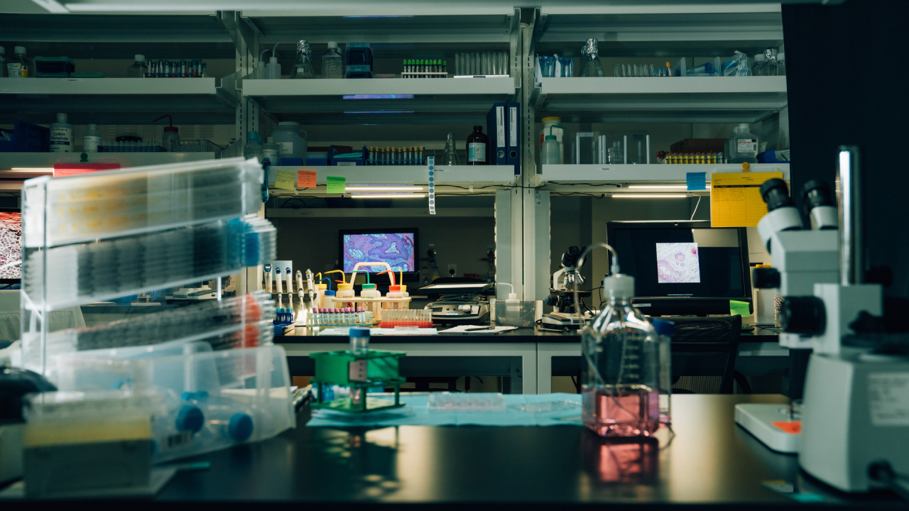 Cancer Genomics