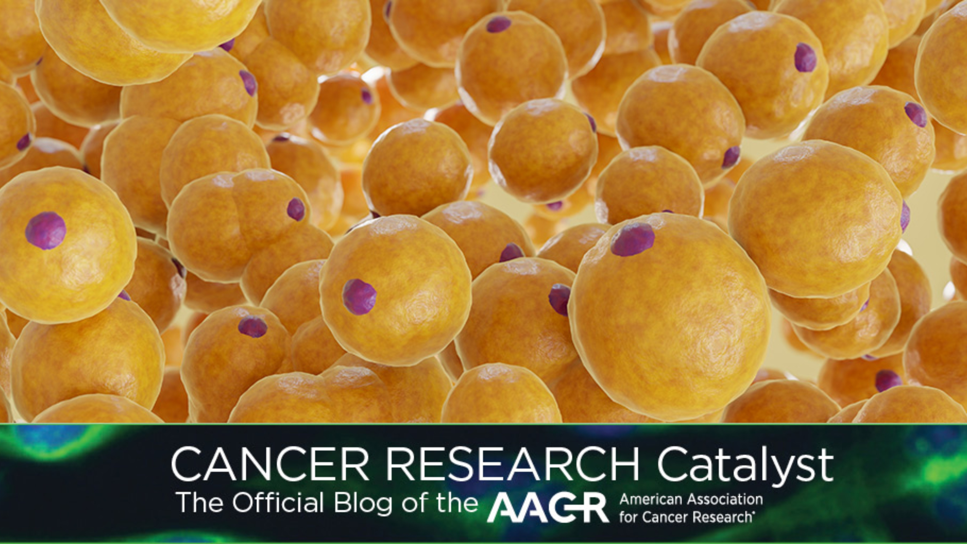AACR