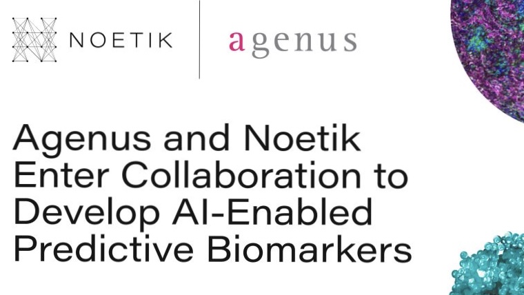 Noetik