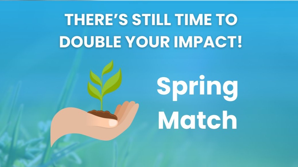Double Your Impact NFCR