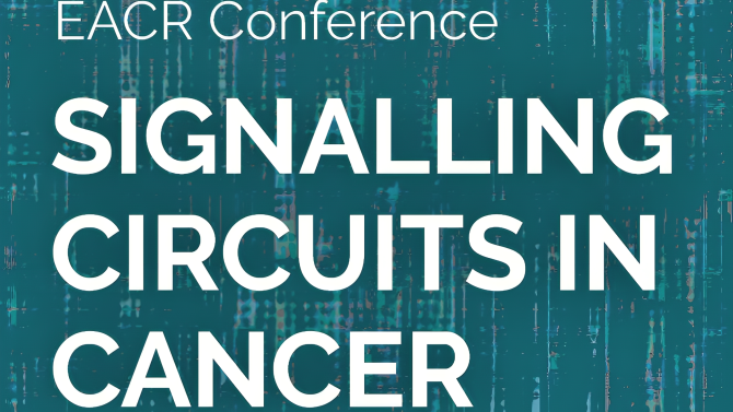 Cancer Virtual Conference