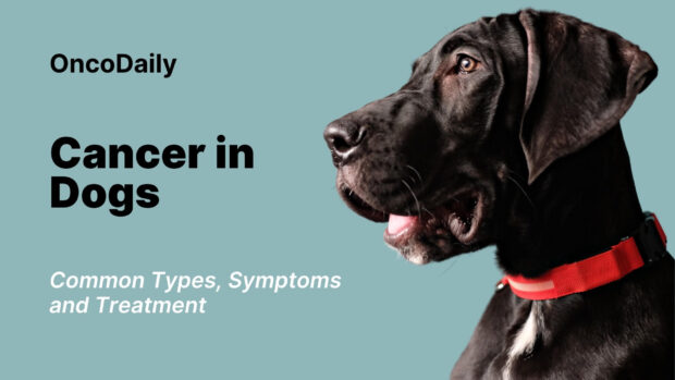 cancer in dogs