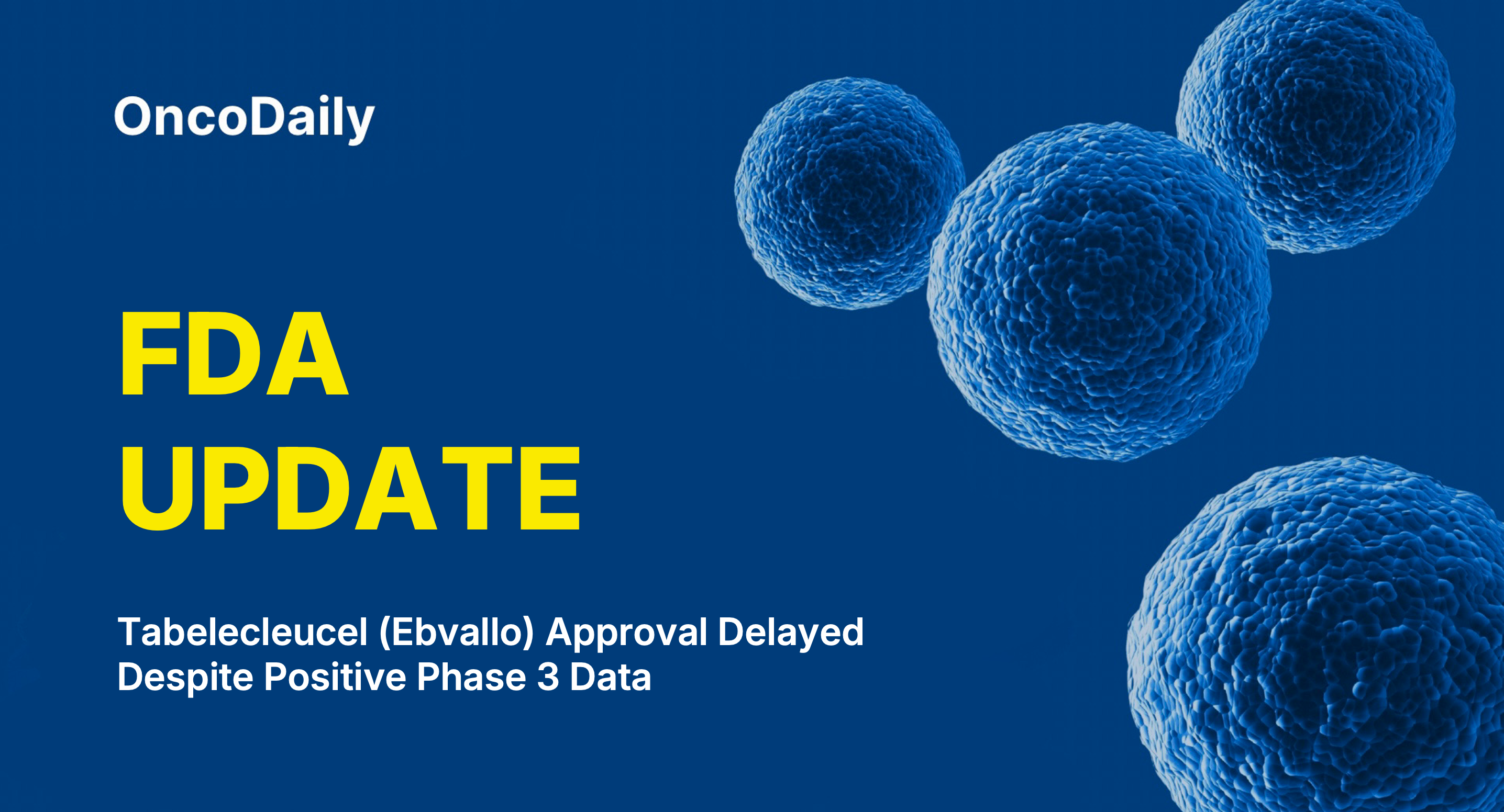 Tabelecleucel (Ebvallo) Approval Delayed Despite Positive Phase 3 Data