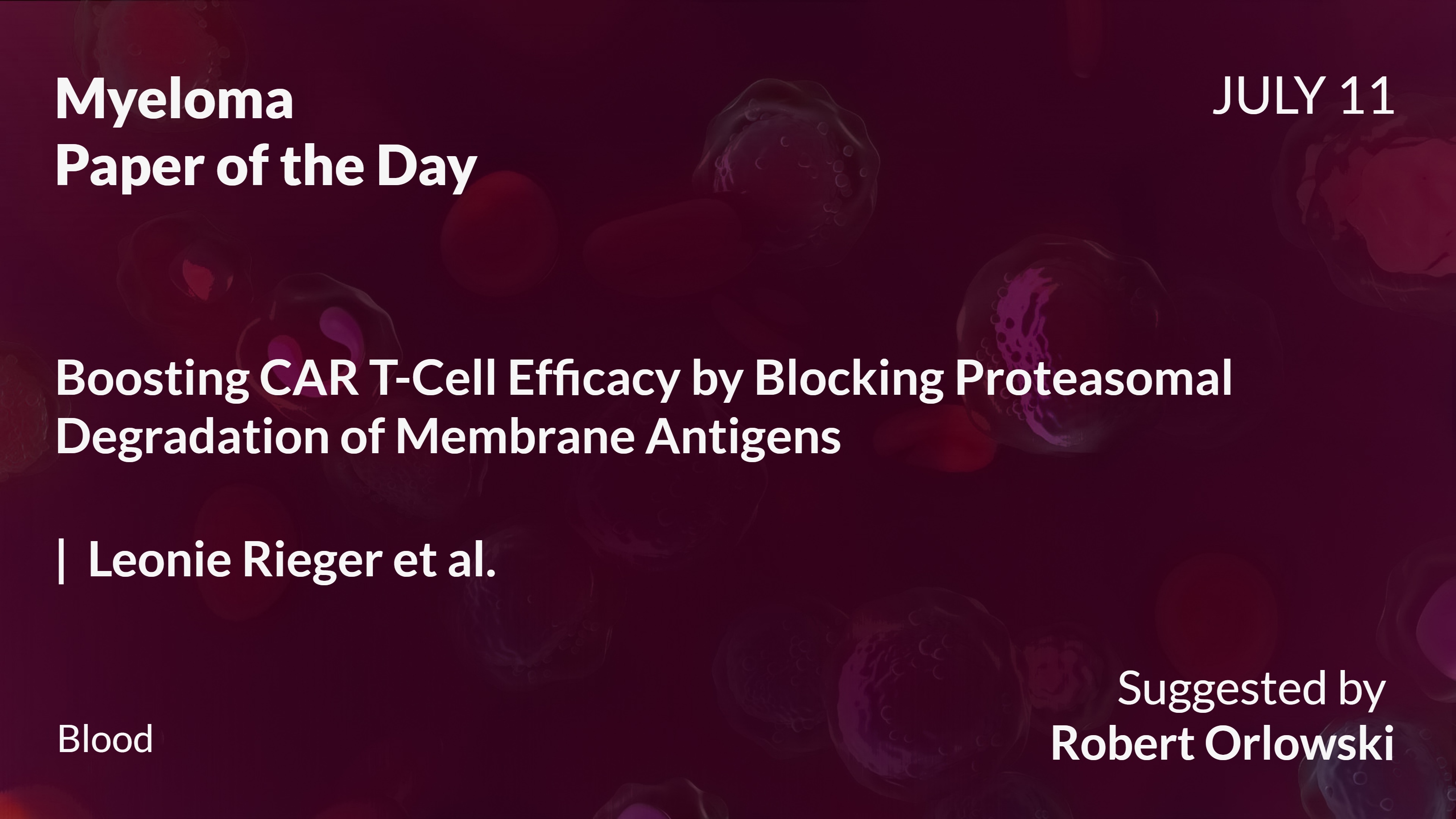Myeloma Paper of the Day