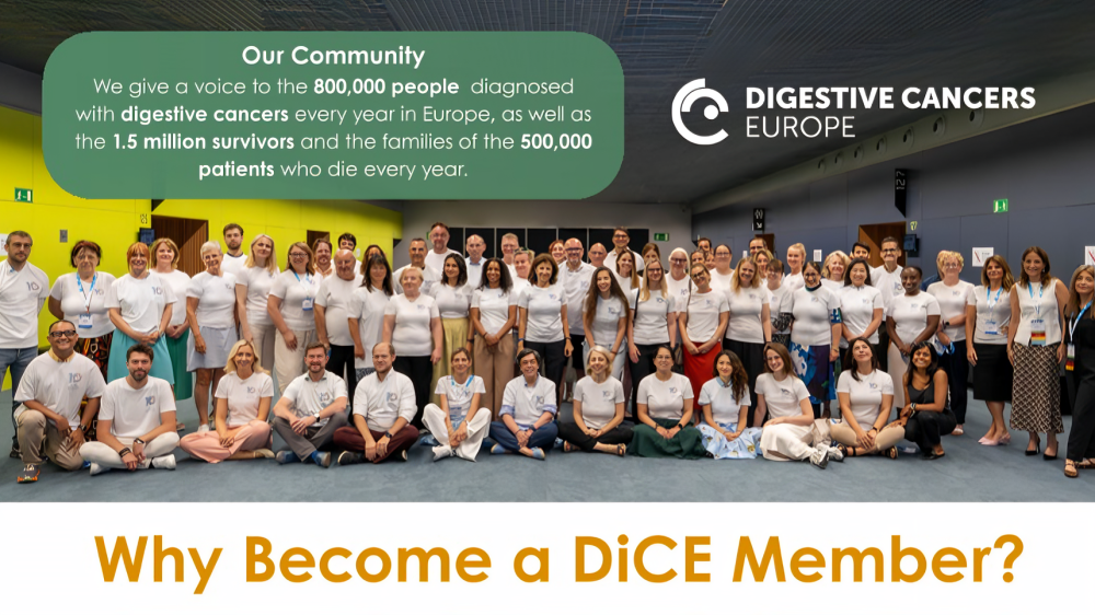 Member Organisations