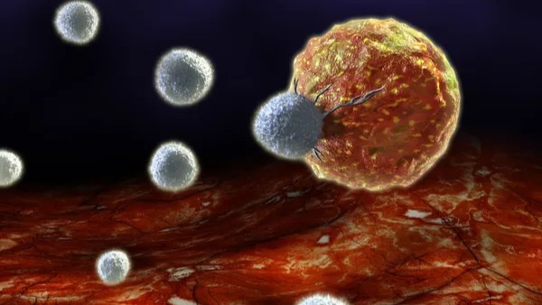 George Kumar Neuroblastoma Cells