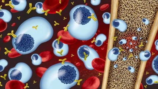 International Society of Liquid Biopsy