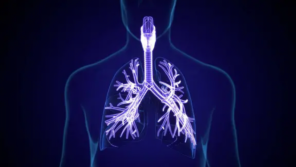ALK-Positive NSCLC