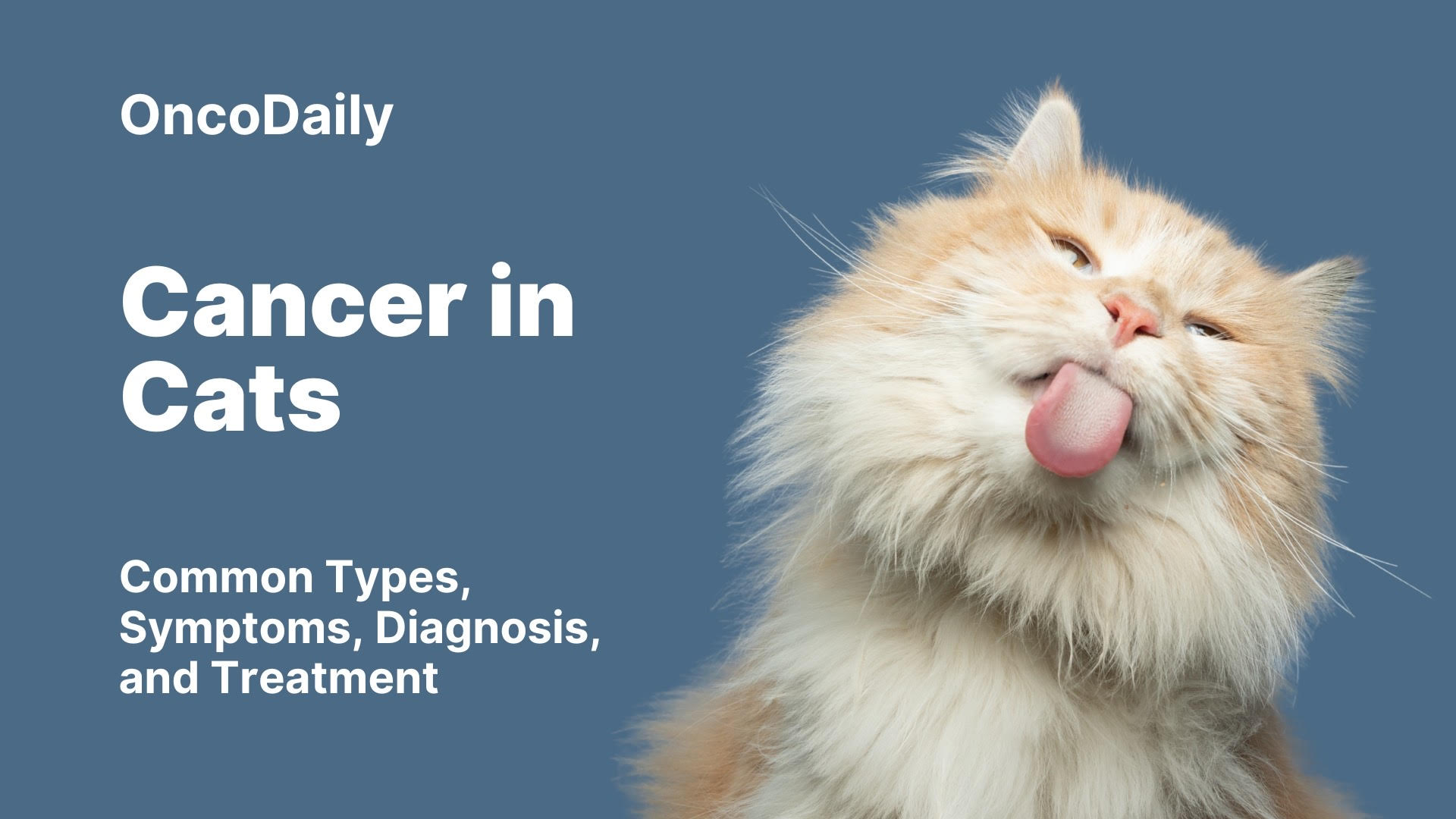 Cancer in Cats