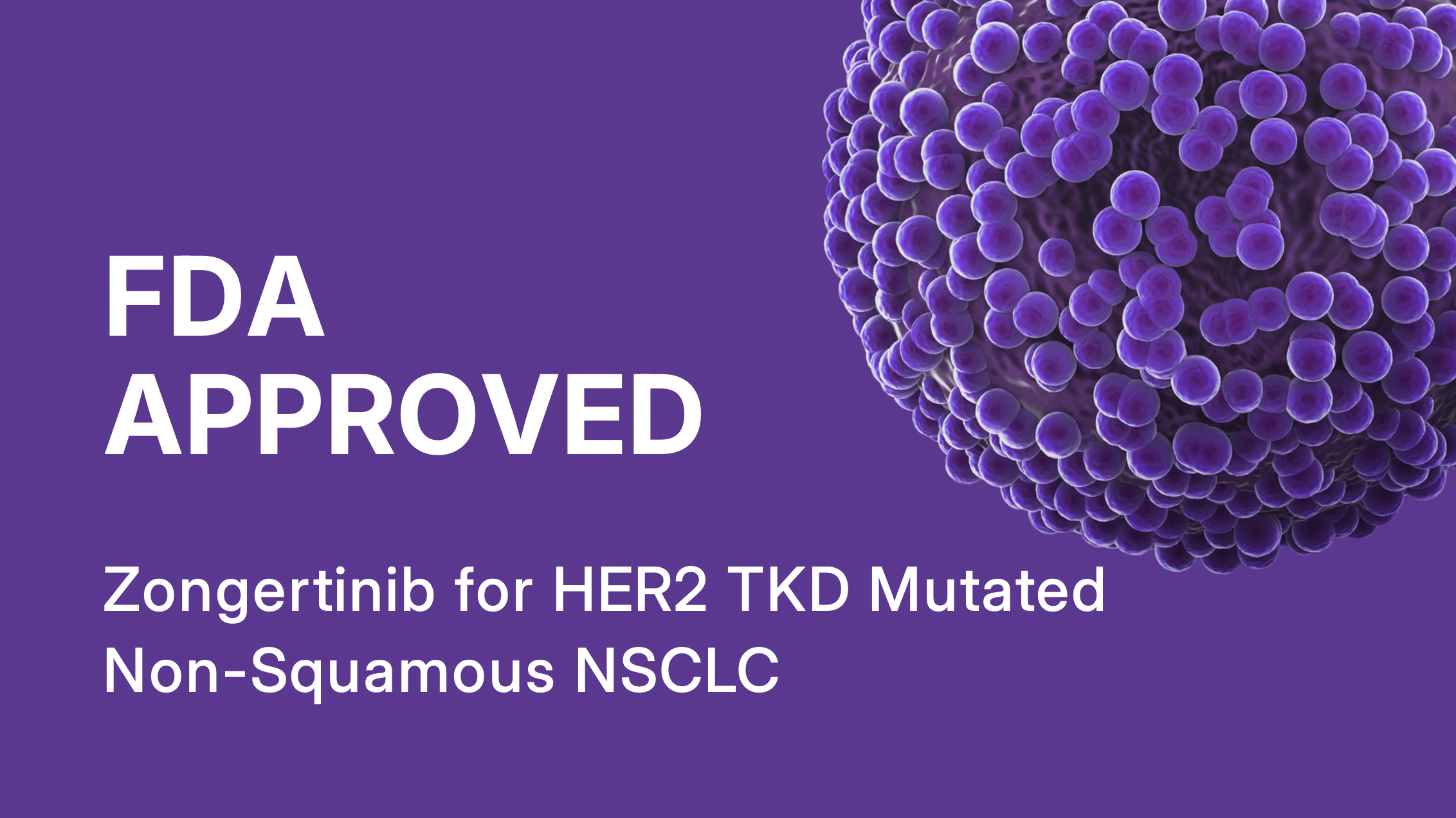 Zongertinib for HER2-Mutant Non-Squamous NSCLC
