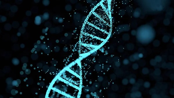 DNA MYCN-Amplified Cancers
