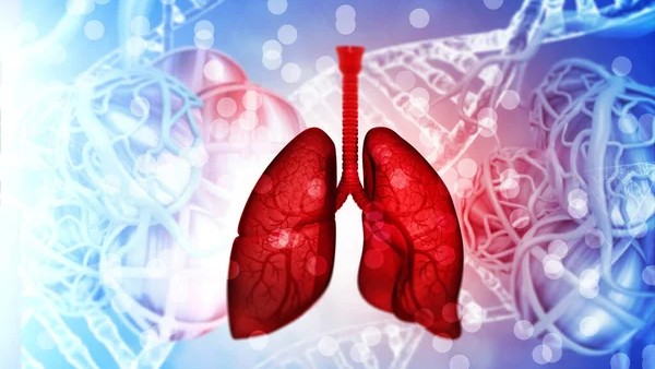 A Simple Guide on Lung Cancer Screening