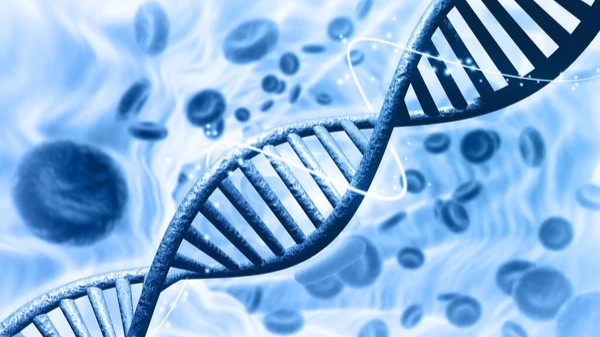 Genetic Testing