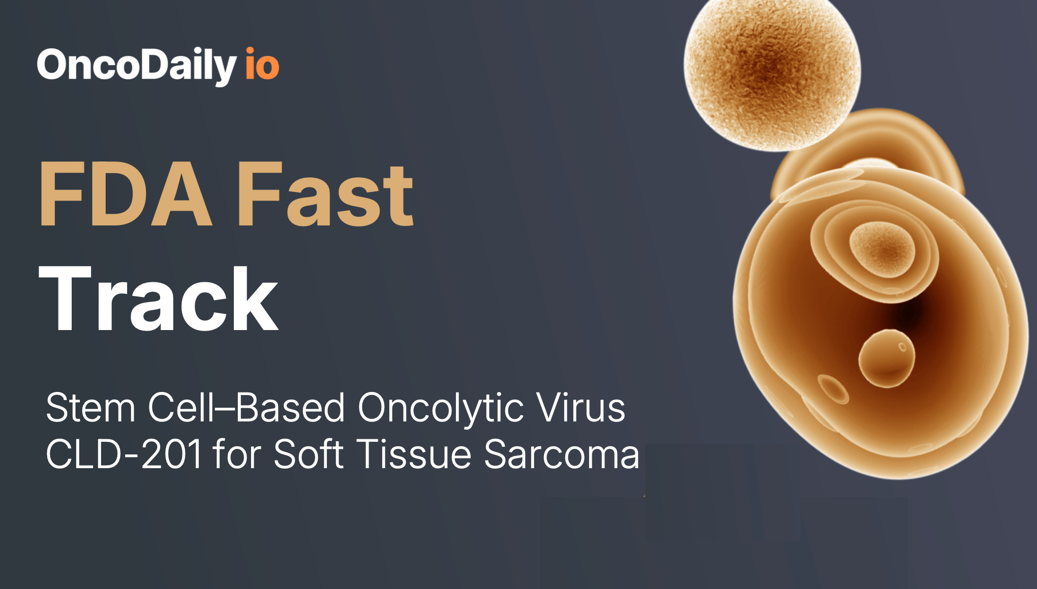 cld-201 fda fastr track