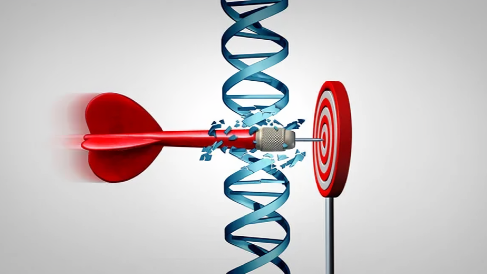 WRN Helicase Inhibitor