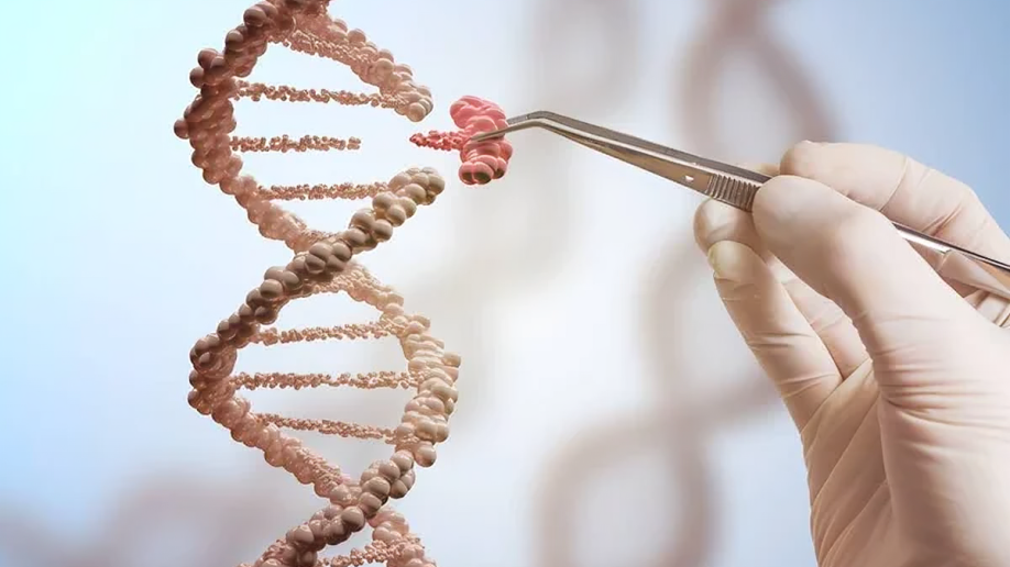 CRISPR